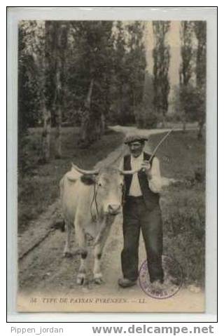 TYPE DE PAYSAN PYRENEEN * Belle Carte Cotée CARRE - Farms