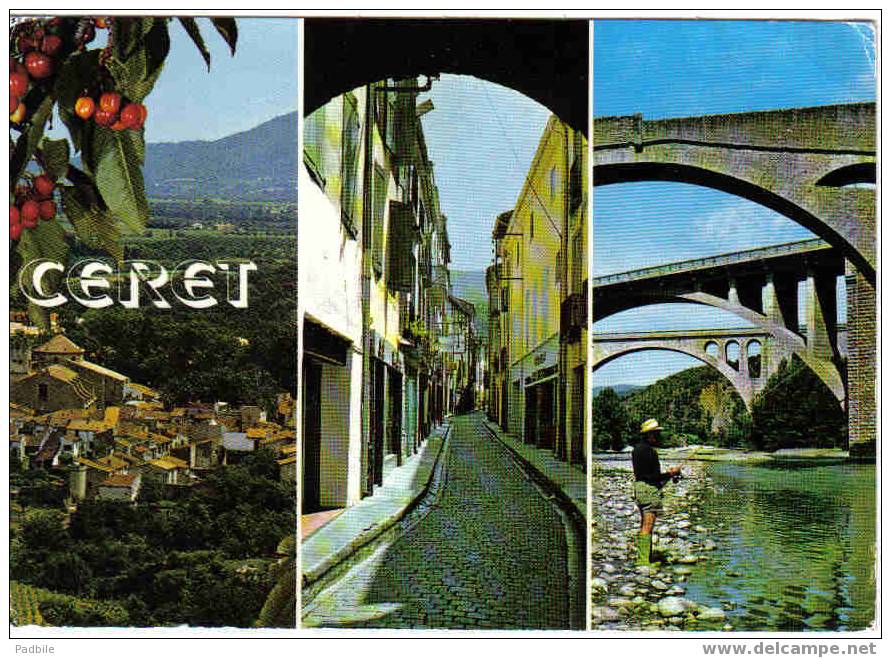 Carte Postale   Ceret - Ceret