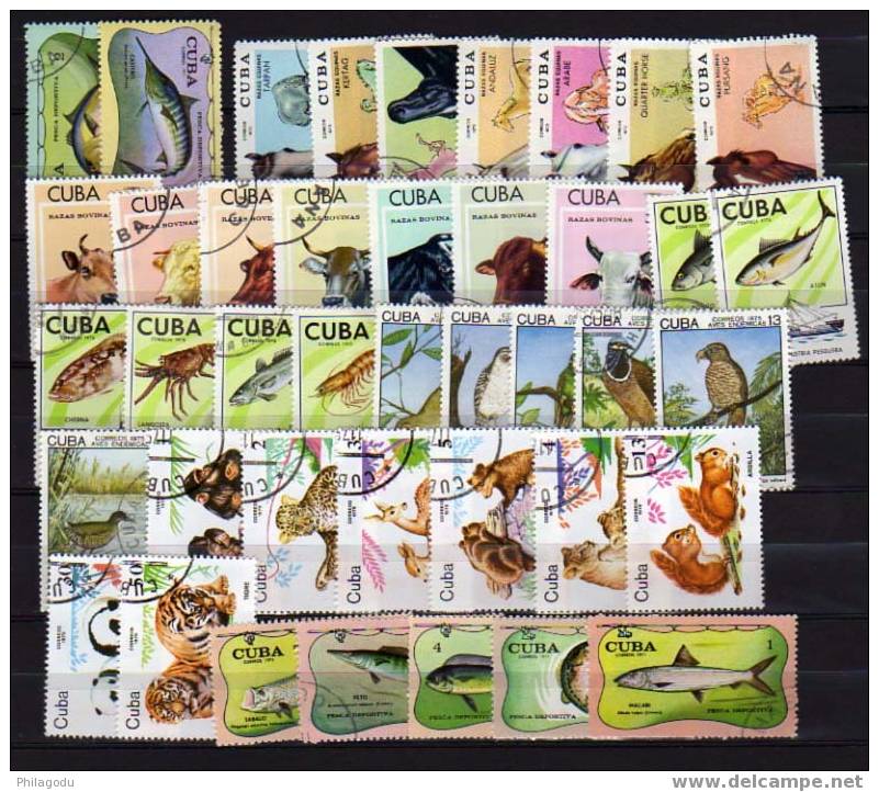 Cuba,  Séries Complètes Ø, Animaux, Oiseaux, Poissons, Vache,chevaux - Used Stamps