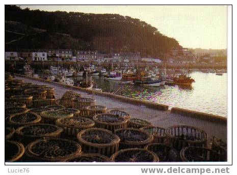 ERQUY - N° 2 9283  -   Le Port Et Les Casiers De Homards - Erquy