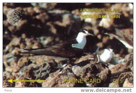 ASCENSION ISLAND 25 L  WIDEAWAKE  BIRD  BIRDS  ASC-M-3D CODE:3CASD CV$30US  SPECIAL PRICE !! - Ascension (Ile De L')