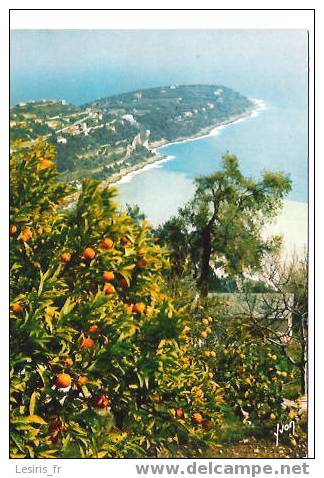 CP - LE CAP MARTIN - LA COTE D'AZUR - YVON - Roquebrune-Cap-Martin