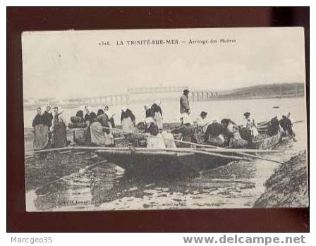 010989 La Trinité Sur Mer Arrivage Des Huîtres édit.laurent N°1318 Animée Très Belle Carte Ostréiculture - La Trinite Sur Mer