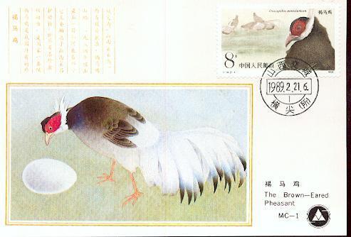 CHINE CARTE  MAXIMUM      NUM.YVERT 2926 FAUNE PROTEGEE FAISAN A COLLERETTE - Maximumkaarten
