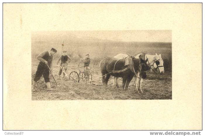 AGRICULTURE - ATTELAGE De CHEVAUX - LABOURAGE - SUPERBE PLAN - Edit. TREFLE C.C.C.C. N° 2 - Attelages