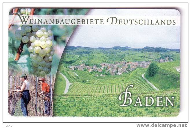 VIN  ( Germany Rare Card ) - Wine - Wein - Vino * - Grape - Grapes - De Raisin - Wineyards - BADEN - Lebensmittel