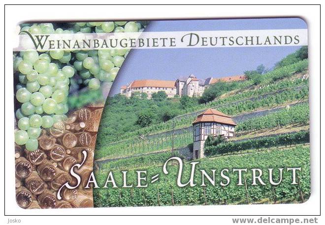 VINO  ( Germany Rare Card ) - Vin - Wein - Wine  * - Grape - Grapes - De Raisin - Wineyards - SAALE = UNSTRUT - Levensmiddelen