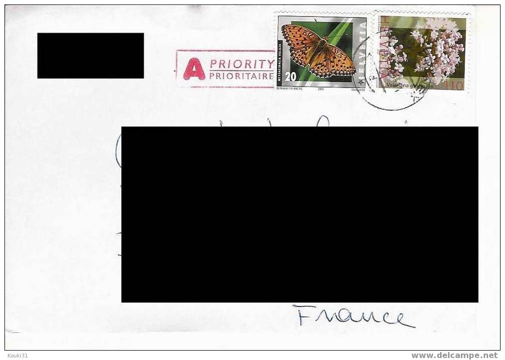 Suisse : Affranchissement Composé Sur Lettre à Destination De La France : Papillon Et Fleur - Brieven En Documenten