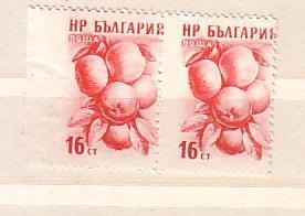 BULGARIA / Bulgarie  1957  Fruits -  ERROR  Right Imperforated - MNH - Errors, Freaks & Oddities (EFO)