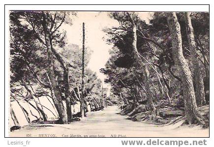 CPA - MENTON - CAP MARTIN - UN SOUS BOIS - N. D. - 856 - Roquebrune-Cap-Martin