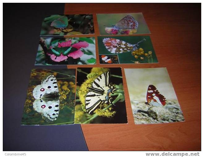 Lot 7 Cpm Theme Papillon Butterfly - Farfalle