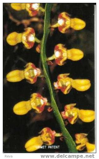 SIERRA  LEONE 200  U  ORCHID ORCHIDS FLOWER  FLOWERS  MINT   SRL-19 - Sierra Leona