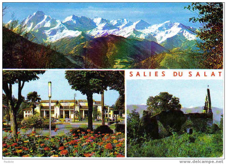 Carte Postale De Salies Du Salat - Station Thermale, Chapelle Ancienne, La Chaîne De Pyrénées - Salies-du-Salat