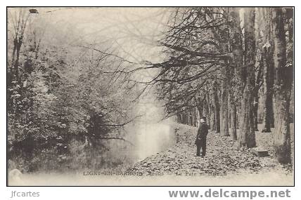 55 - LIGNY-en-BARROIS - Le Parc Et L'Ornain - Ligny En Barrois