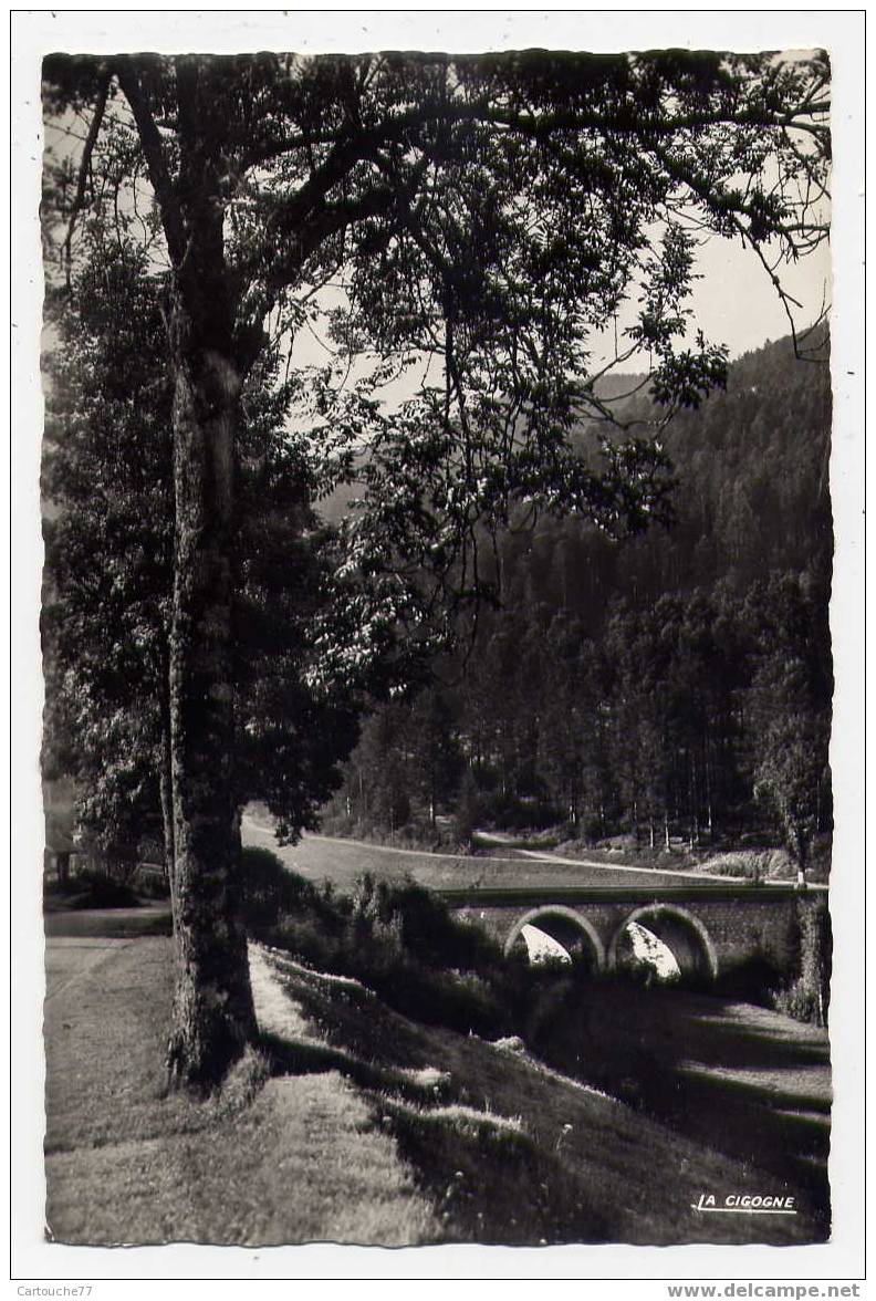 K1 - BUSSANG - Pont Du Séchenat - Bussang