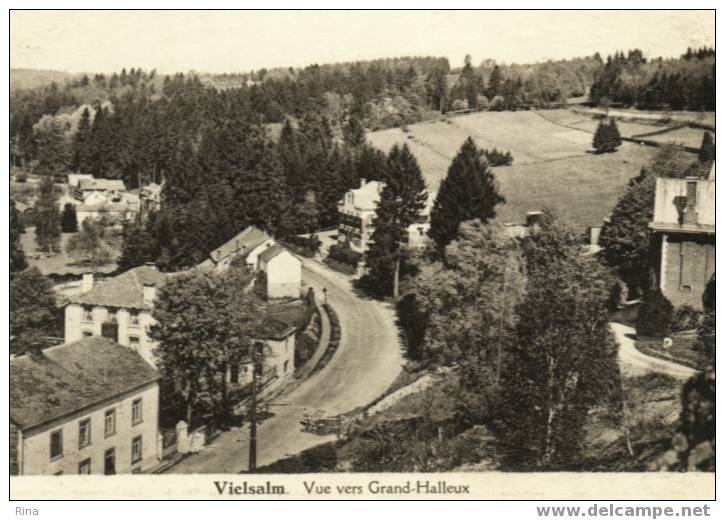 Vielsalm.Vue Vers Grand.Halleux-Edit.Sevrin-Crucifix Vielsalm (Copyr.luma) Witte Getande Rand Rond Kaart - Vielsalm