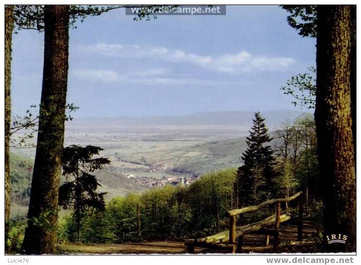 PAYSAGE De L´EST  -   A L´orée Du Bois  - N° 88 533 132 - Lorraine