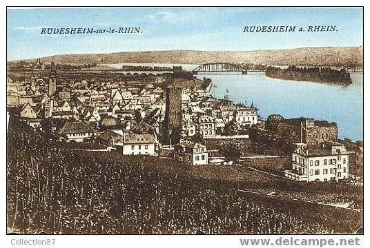 ALLEMAGNE - RUDESHEIM AM RHEIN - RUDESHEIM Sur Le RHIN - VUE GENERALE - - Ruedesheim A. Rh.