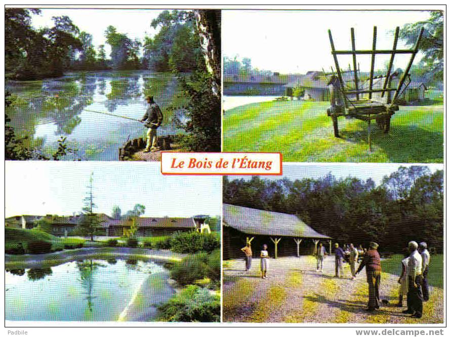 Carte Postale Montsoult   Résidence Du Bois De L'Etang - Montsoult