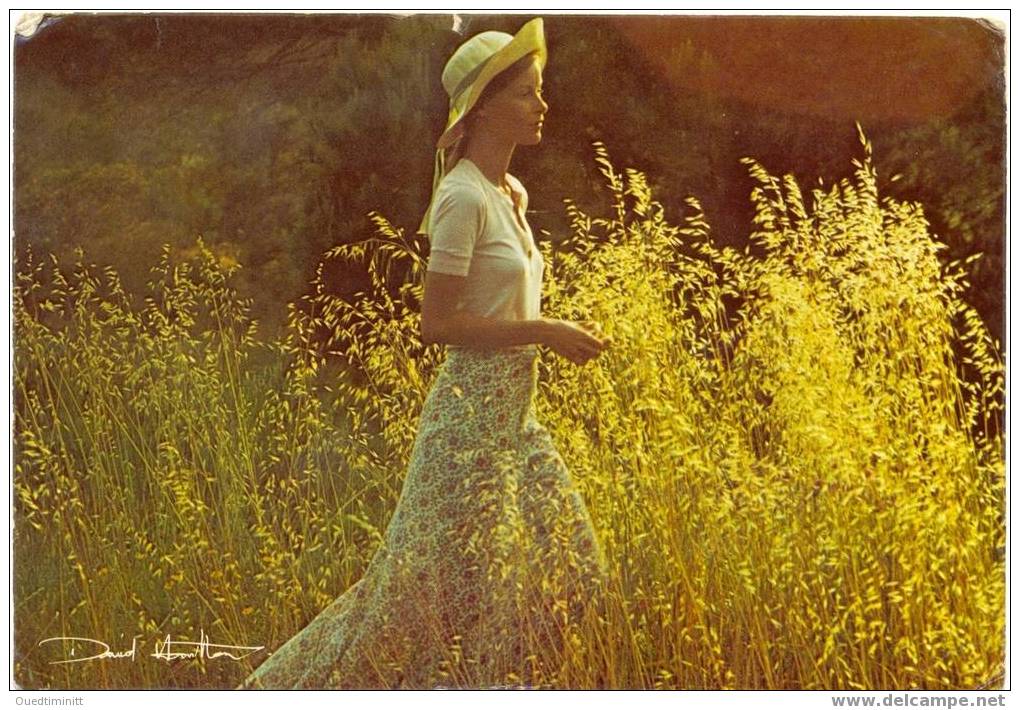 David Hamilton.1976.J.femme Dans Les Blés. - Sonstige & Ohne Zuordnung