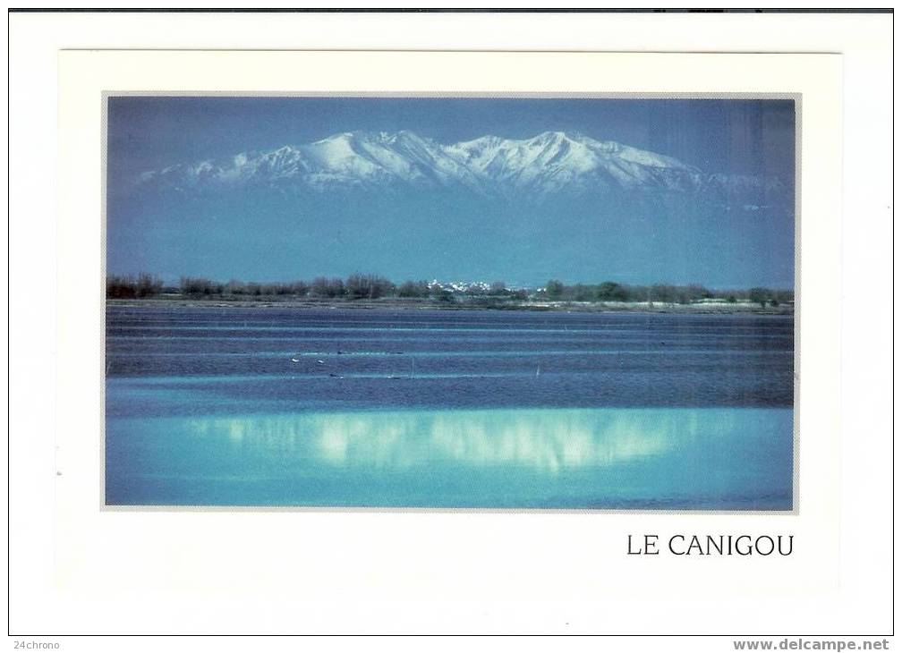 Le Canigou Depuis L´ Etang De Canet, Photo A. Choisnet (07-360) - Canet En Roussillon