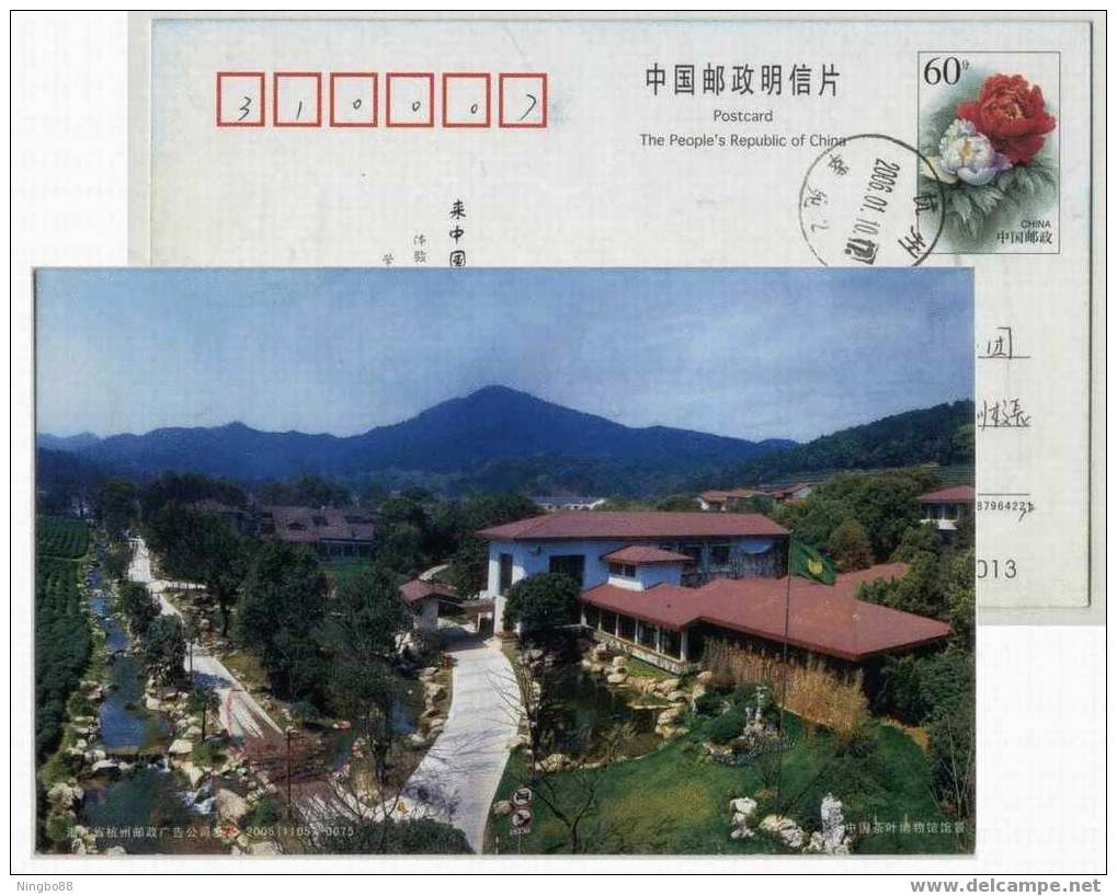 Green Tea Field,China 2005 Chinese Tea Museum Advertising Postal Stationery Card - Altri & Non Classificati