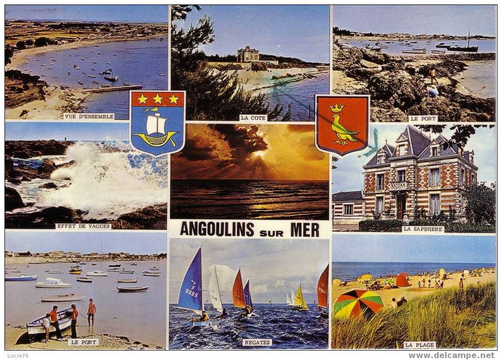 ANGOULINS Sur MER -    9 Vues :  Vue D´Ensemble, La Côte, Le Port, Effet De Vagues, La Sapinière, Le Port, Régates.... - Angoulins