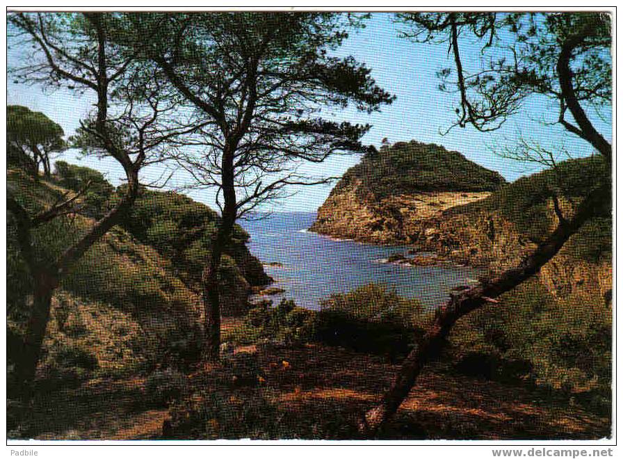 Carte Postale Ile De Porquerolles  Calanque Du Brégançonnet - Porquerolles