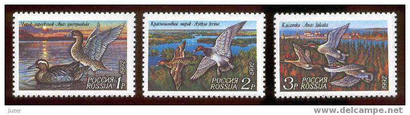 Russia 1992. Ducks - Canards