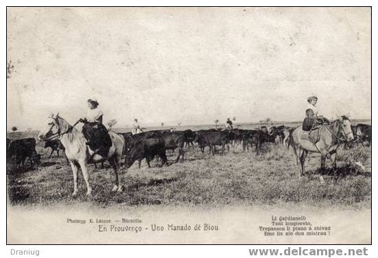 CPA Métier 13 - En Provence - Une Manade - Belle Scène - Viehzucht