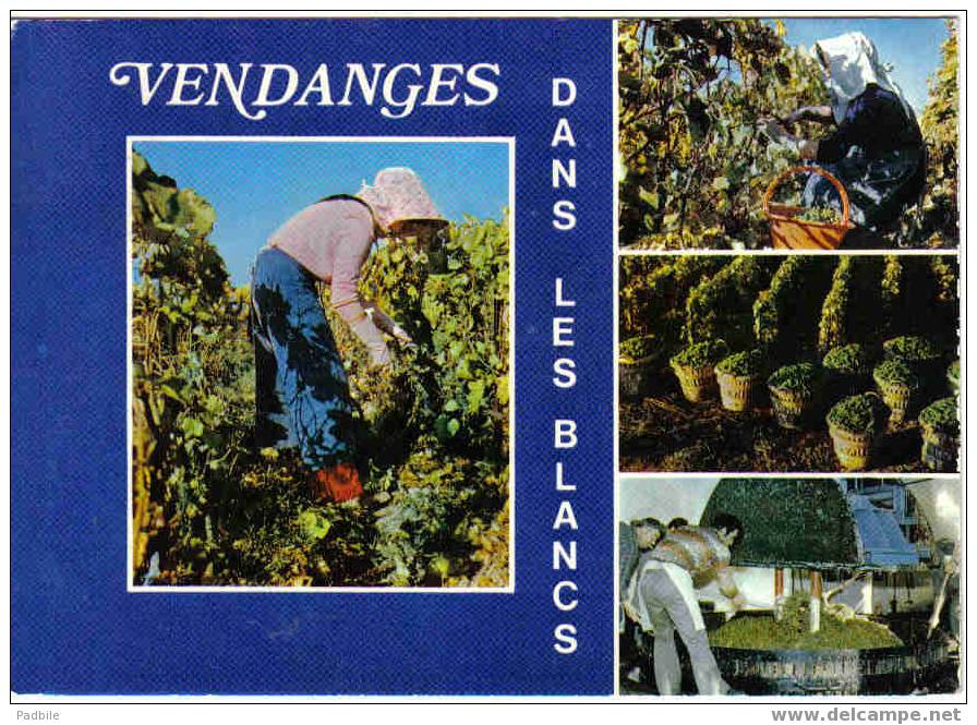 Carte Postale  BAZANCOURT  Vendanges En Champagne - Bazancourt