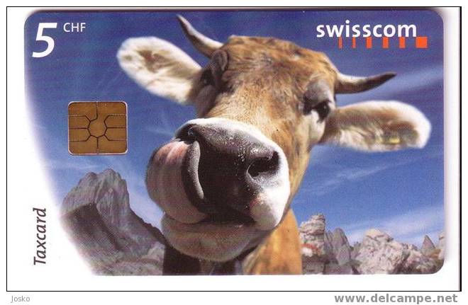 COW ( Switzerland ) ***  Vache - Kuh - Vaca – Mucca - Vacca – Cows - Vaches *** Milk - Lait - Cows