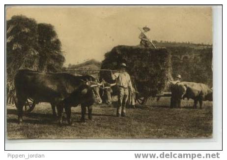 15 Cantal * La Fenaison * TYPES D'AUVERGNE *  Très Belle CPA Timbrée En 1941 - Cultivation