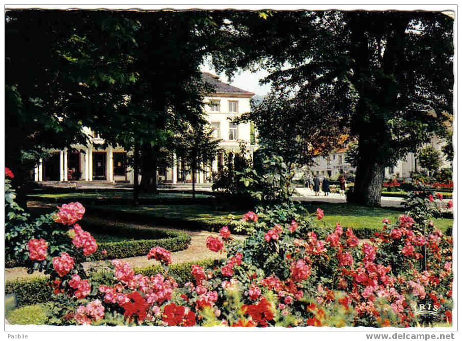 Carte Postale 67  Niederbronn-les-Bains  Le Parc Et Le Casino - Niederbronn Les Bains