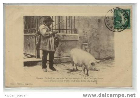 THEME COCHON * Belle CPA écrite En 1913. - Pigs