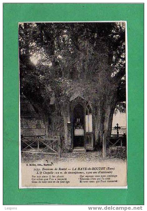 LA HAYE ROUTOT --  L'If Chapelle (12m. De Circonférence,.... - Routot