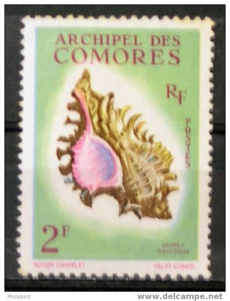 COMORES     21     NEUF*    Cote :  3,30 - Coquillages