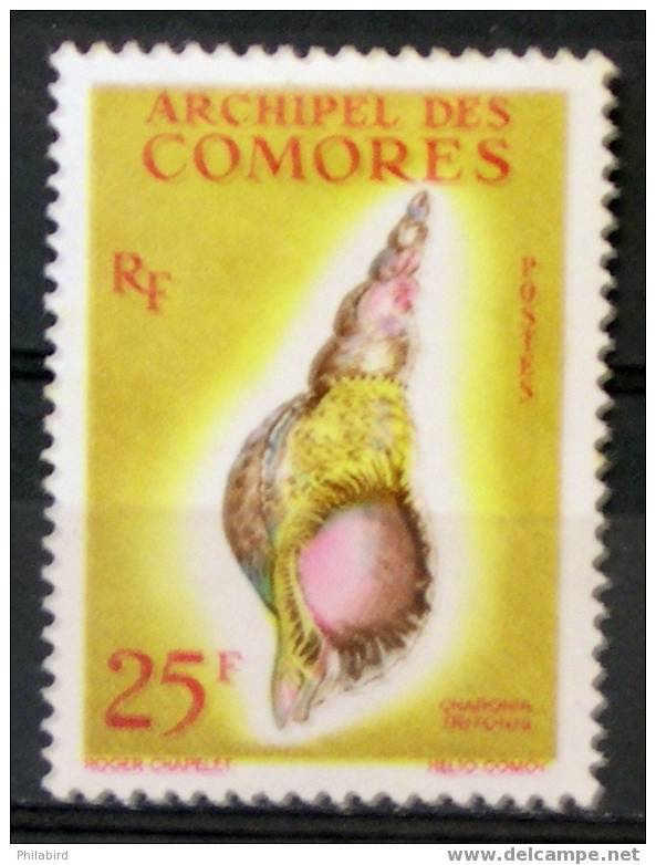 COMORES     24     NEUF*    Cote :  16,00 - Conchas