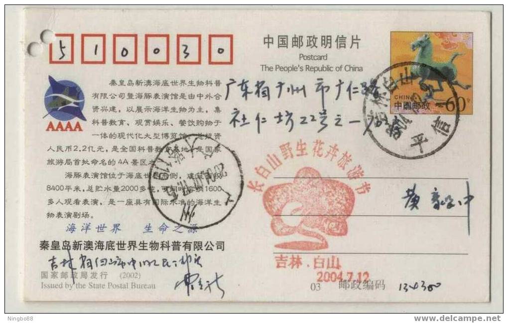 Dolphin,China 2003 Qinhuangdao Underwater World Aquarium Admission Ticket Pre-stamped Card,perforated Used - Delfines