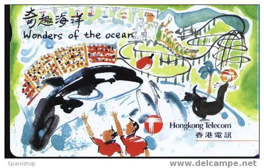 Hong Kong. Orca Whale And Seal , Picture Of Marine Zoo - Hongkong