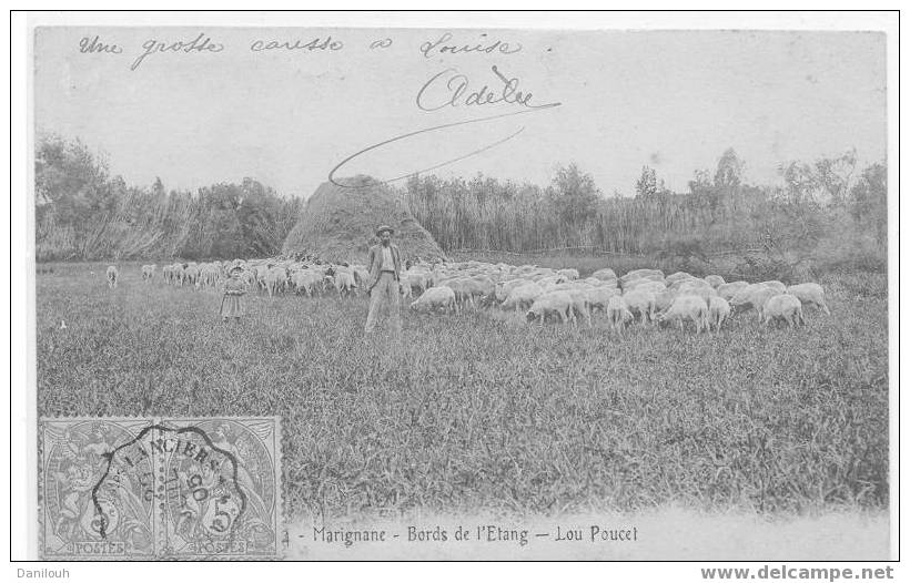 13 // BOUCHES DU RHONE / MARIGNANE / Les Bords De L'étang, Lou Poucet / ANIMEE (+ Troupeau) / - Marignane