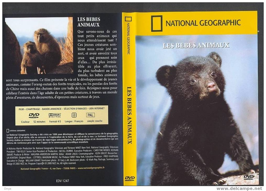 DVD - LES BEBES ANIMAUX - Documentaires