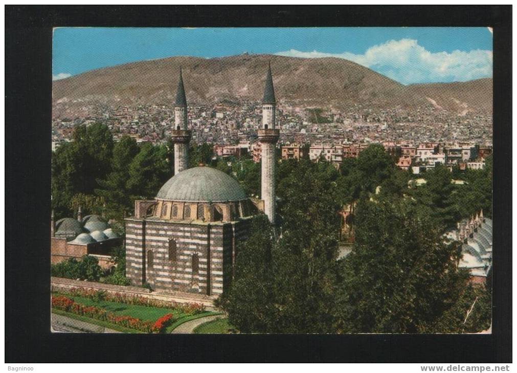 DAMASCUS Postcard SYRIA - Syria