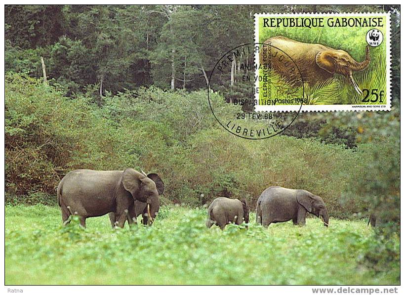 Gabon : CM Carte Maximum Elephant Afrique Foret Loxodonta Africana Cyclotis Pachyderme Animaux Mammifere WWF - Elefanten