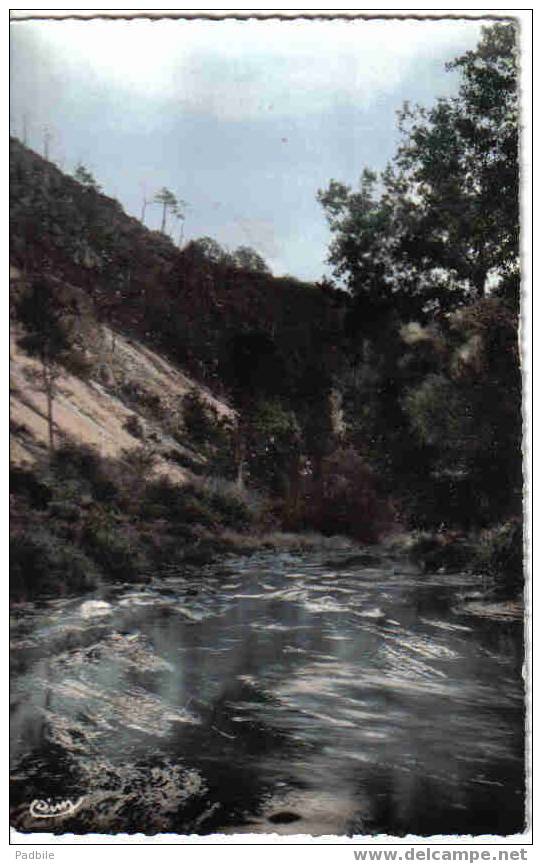 Carte Postale  72.  St-Léonard-des-Bois - Saint Leonard Des Bois