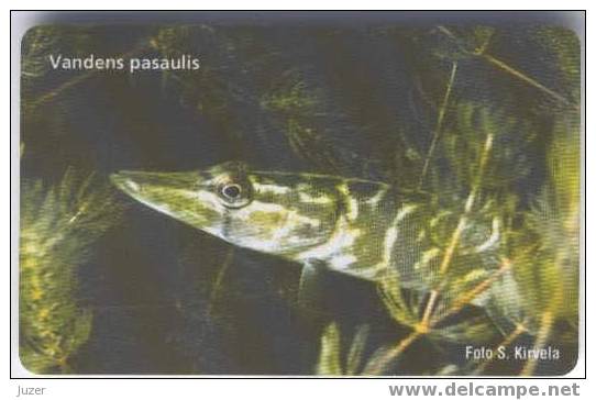 Lithuania. Fish - Pike - Lituania