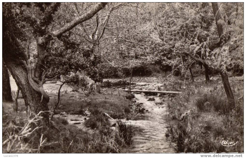 83 / LA ROQUEBRUSSANNE / LA SOURCE DE LA FOUX  /  CPSM / CLIQUEZ SUR L IMAGE - La Roquebrussanne