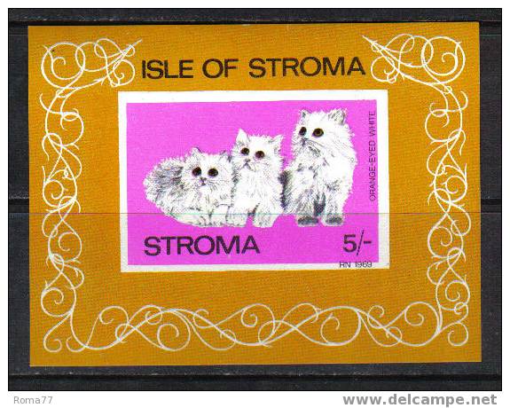 BOL1545 - STROMA , SCOTLAND ISLE :  5 /-  Orange Eyed White  *** - Local Issues