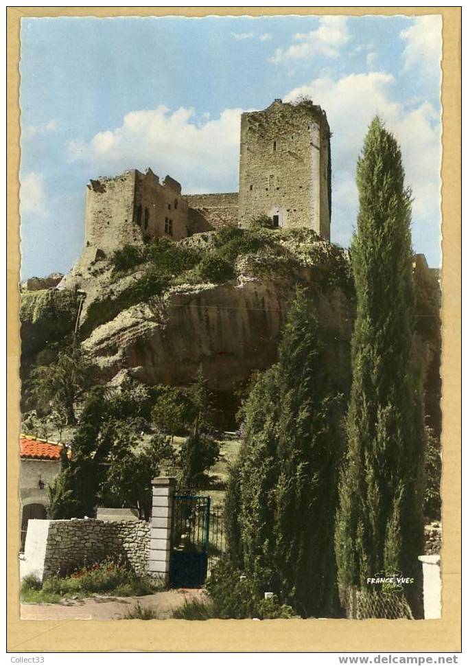 84 - Vaison-la-Romaine - Le Chateau Des Comtes De Toulouse - CPSM Non Voyagé - Ed Arlixcolor Sans N° - Vaison La Romaine