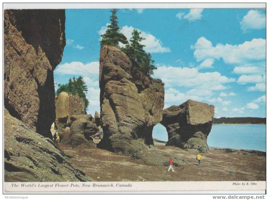 Canada - The World's Largest Flower Pots , New Brunswick - Andere & Zonder Classificatie